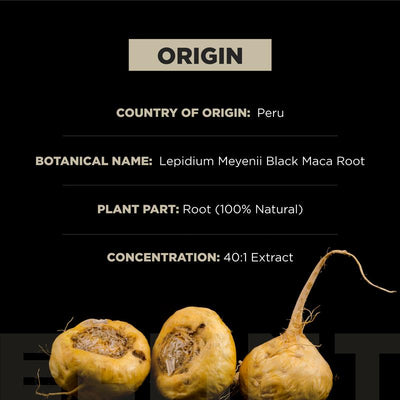 ELMNT Raíz de maca negra orgánica